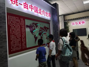 桃香引巧思，非遺潤(rùn)童心——奉賢錢(qián)橋?qū)W校暑期親子體驗(yàn)活動(dòng)側(cè)記